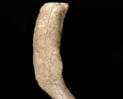 The site is also a location of the Pinhole Caveman which was founded a hundred years before in the 1920s.